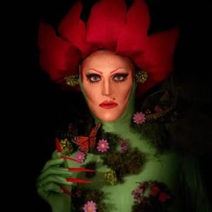 Meet your Posher, Mackenzie